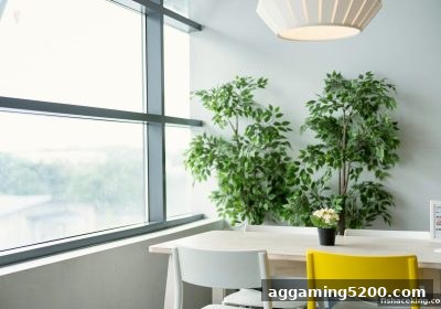 捕鱼王中王深度解析：USDT入金如何构建游戏资金空间策略