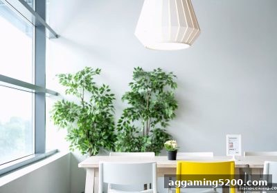 捕鱼王中王深度解析：极速百家乐的规则、概率与理性掌控