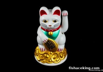 捕鱼王中王揭秘双色球：从概率到返奖，新手理性参与指南