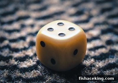 捕鱼王中王视角：极速赛车全攻略与好友推荐奖金深度解析