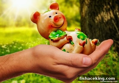 捕鱼王中王福彩3D全攻略：规则拆解与实战技巧深度分享