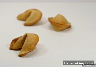 捕鱼王中王带你读懂中奖概率：理性参与才是赢家之道