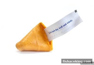 幸运飞艇入门策略与捕鱼王中王的实战视角
