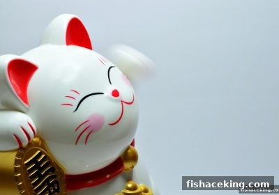 快乐十分胆拖投注实战指南：捕鱼王中王玩家必备技巧