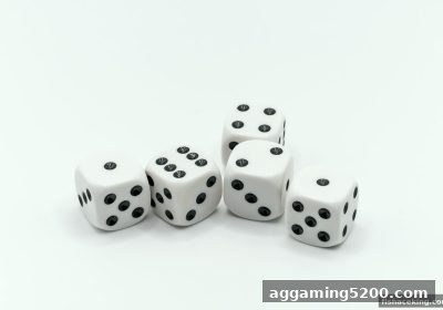 捕鱼王中王揭秘：德扑慢打组合下注策略的核心精髓