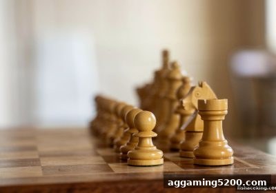 桥牌进阶新视角：捕鱼王中王带你从规则到策略的全面提升