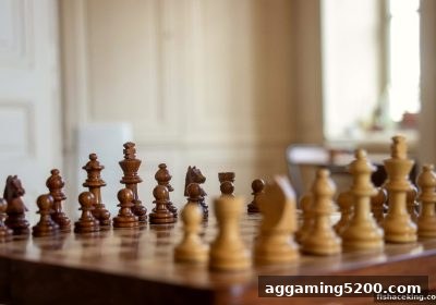 捕鱼王中王视角：大乐透国际象棋中的战术、战略与概率博弈