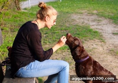捕鱼王中王深度解析游戏积分兑换规则：从入门到精通的实战指南