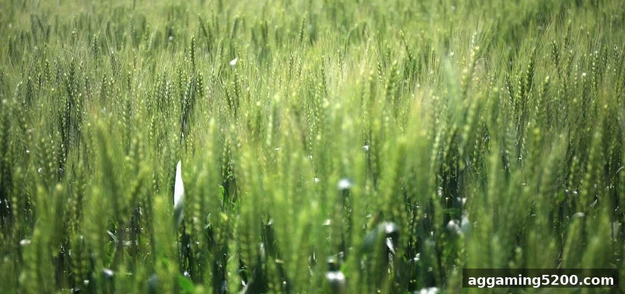 捕鱼王中王深度解读：洗码返佣机制、到账节点与实用建议