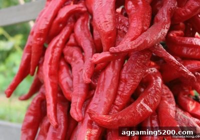 捕鱼王中王带你深度解析快乐十分新手红包领用全攻略