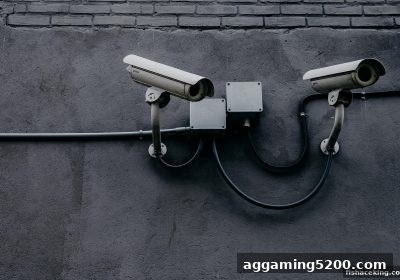 捕鱼王中王带你揭秘：靠谱老虎机代理的五大甄别法则