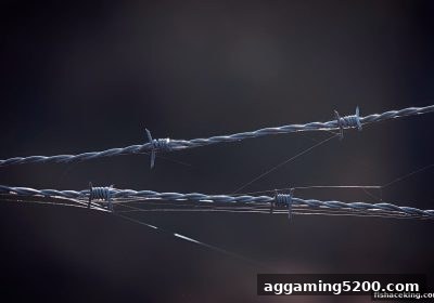 捕鱼王中王深度解析：PG电子全球合规红线与玩家避险全攻略